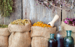 Aceites esenciales y vegetales utilizados en aromaterapia